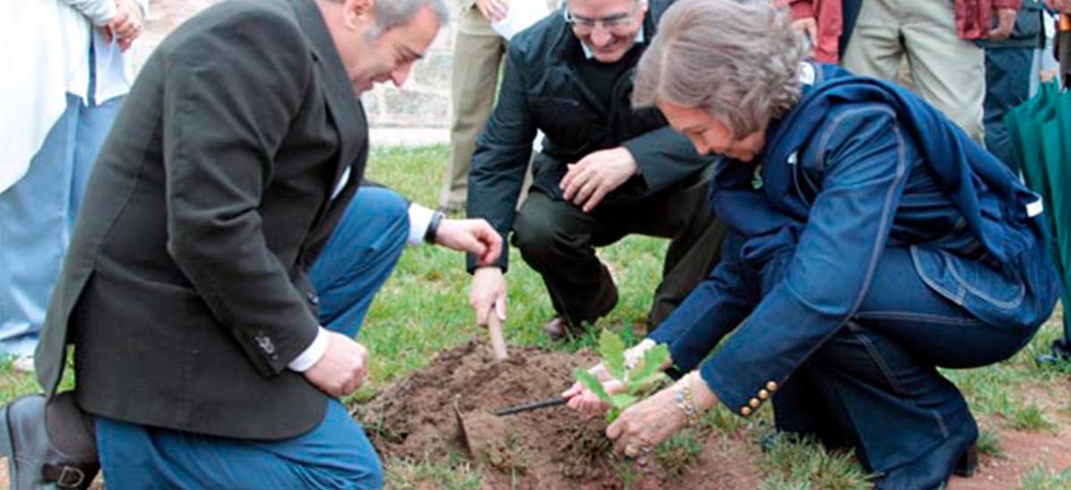 La Fundación Reina Sofia firma un convenio de colaboración con Apadrina un Árbol