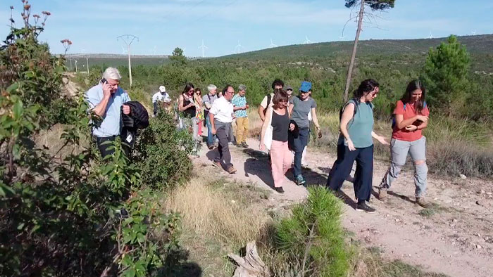 Interpretación tras el incendio