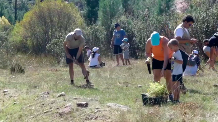 Jornada de plantación