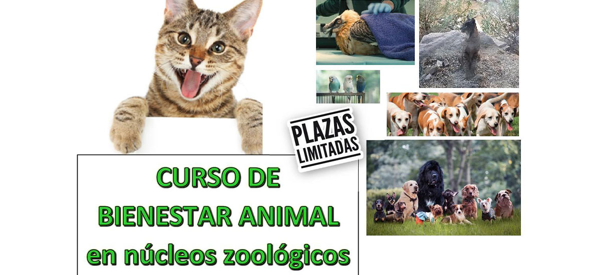 Curso de Bienestar animal en núcleos zoológicos