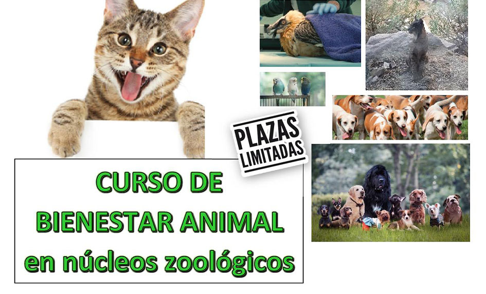 Curso de Bienestar animal en núcleos zoológicos