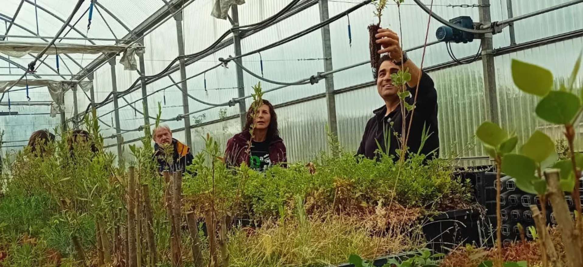 Actividad plantación y ruta