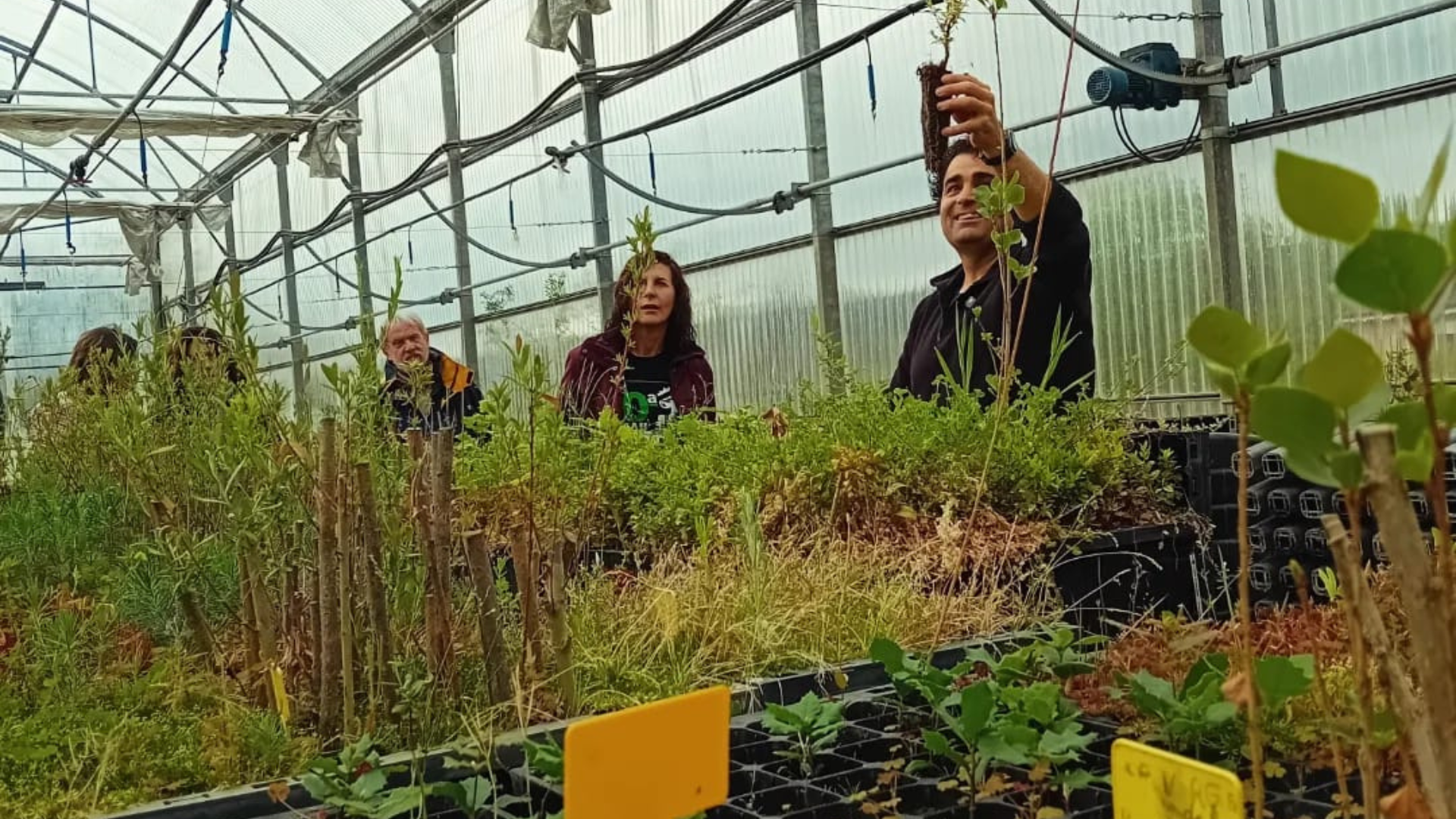 Actividad plantación y ruta